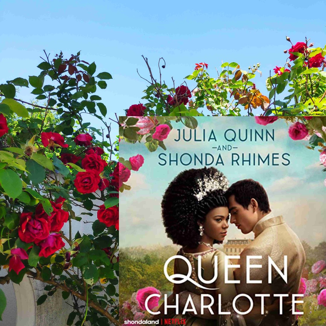 Das Bridgerton Spin-off beginnt wie eine üblich leichte Historical Royal Romance Story, dessen Hauptkonflikt in dem völlig überstrapazierten Trope begründet ist, dass ein MC ein grundlegendes Detail über sich selbst nicht mit dem anderen MC teilt.
Glücklicherweise ist das nur der Ausgangspunkt, denn dann rollen Dramen auf uns zu (schließlich ist die gleichnamige Netflix Show von Shonda Rhimes, Queen of Drama).