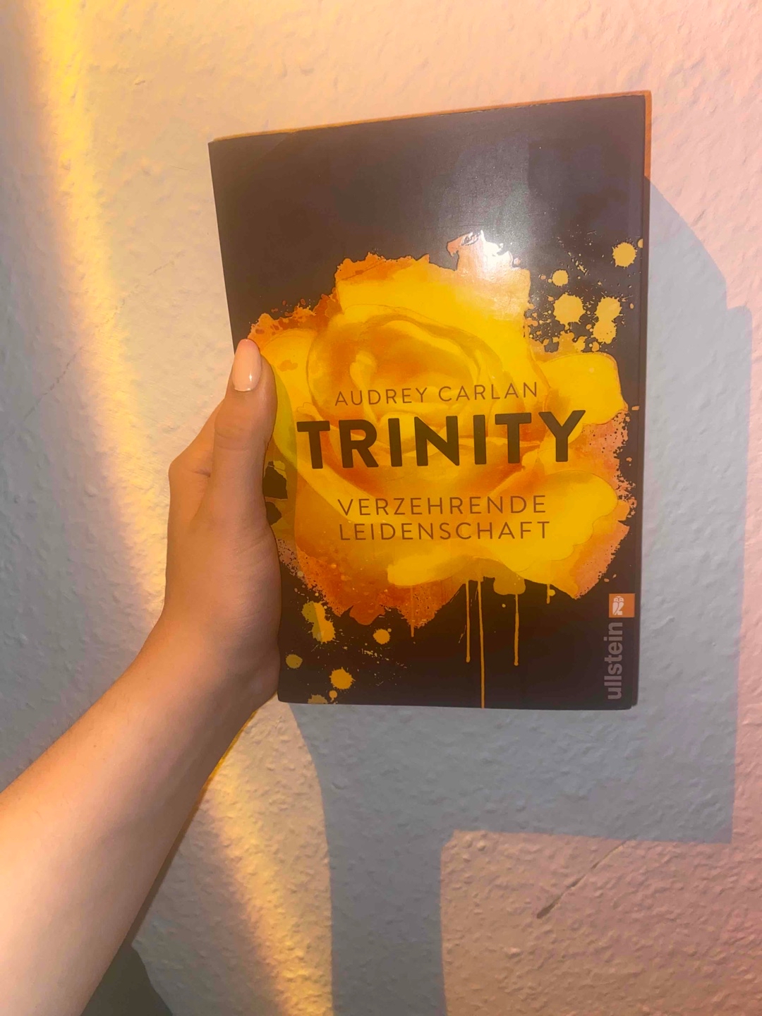 Ein schönes Buch mit vielen spicy Szenen, in der Mitte bisschen wenig Handlung - aber dafür hat es das Ende es nochmal rausgeholt.