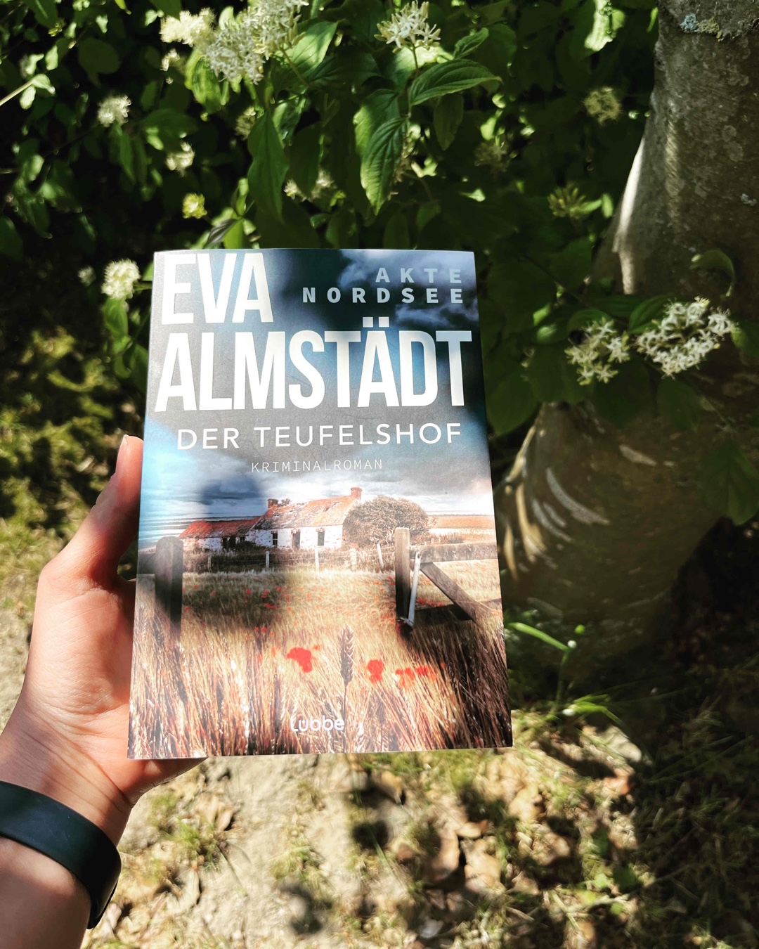 Ausgezeichnete Fortsetzung!