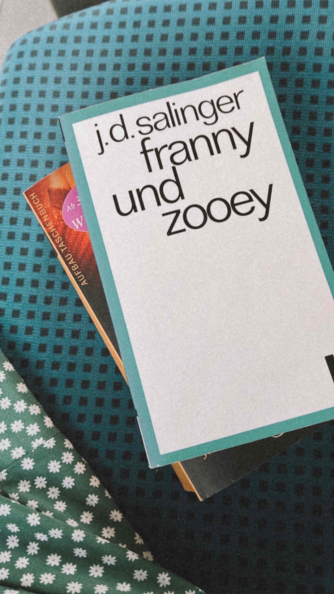 
Es ist mein zweites Buch von Salinger. Da mir der Fänger im Roggen gefallen hat, freute ich mich auf das Buch. Der Aufbau der Geschichte hat mir gut gefallen, auch die Dialoge waren sehr interessant. Ab einem gewissen Punkt hat sich die Geschichte jedoch etwas gezogen.  