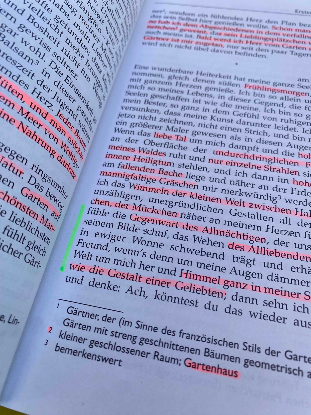 Ich hasse Lyrik!