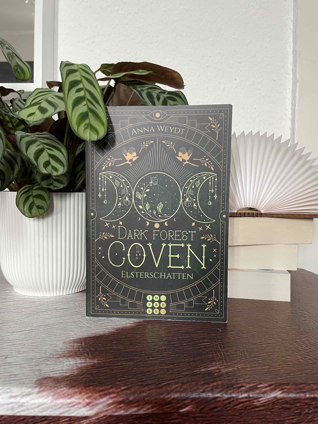 Ich persönlich mag das Buch, es war ein netter Read für zwischendurch. Die Romanze zwischen Nora und Adrian ist ein bisschen vorhersehbar und eher süß als spicy. 😊
Die Geschichte der Hexen ist gut durchdacht und schlüssig.
Das Ende bringt nochmal richtig viel Spannung rein - ohne jetzt zu viel zu spoilern. 🤭