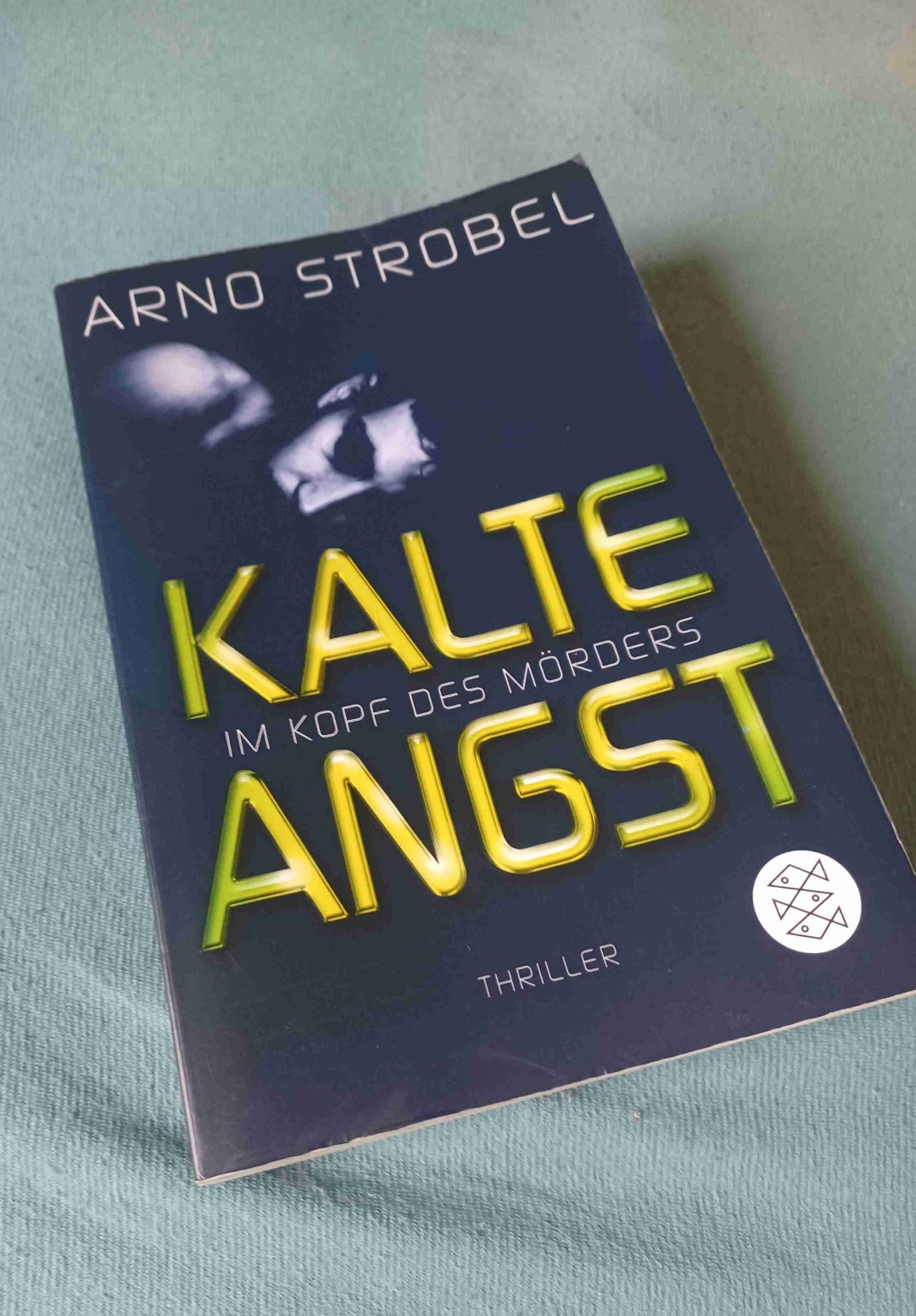 English: To cut a long story short, it's about a murderer with a fucking insane psyche....
German: Um es kurz zu fassen, geht es um einen Mörder mit verdammt geisteskranker Psyche...