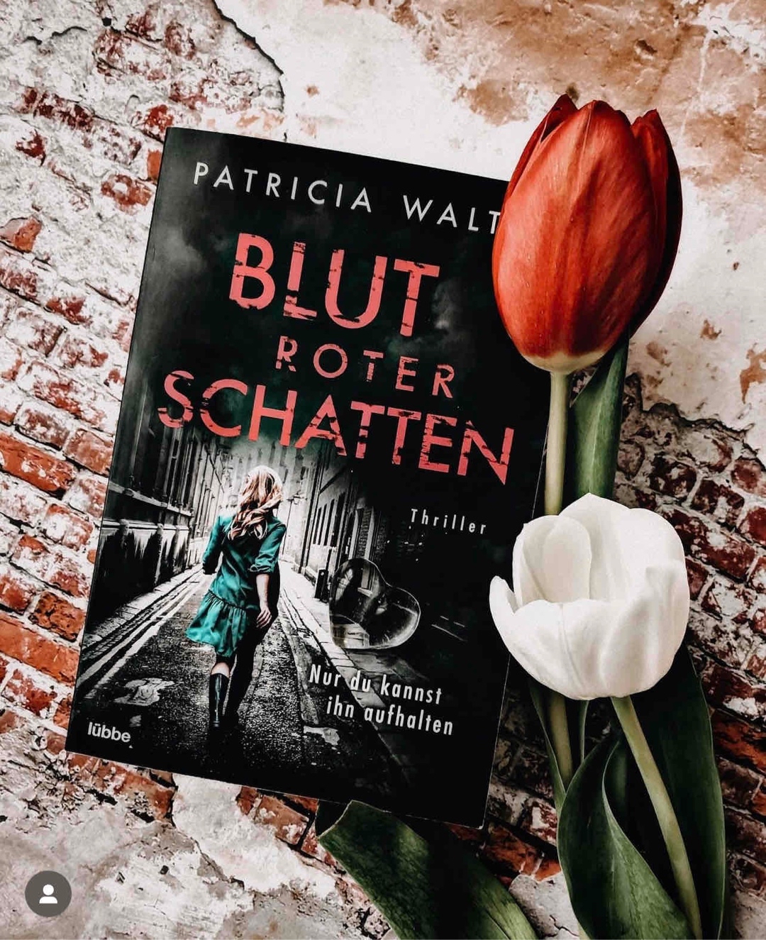 Dieser Thriller ist ein Muss!