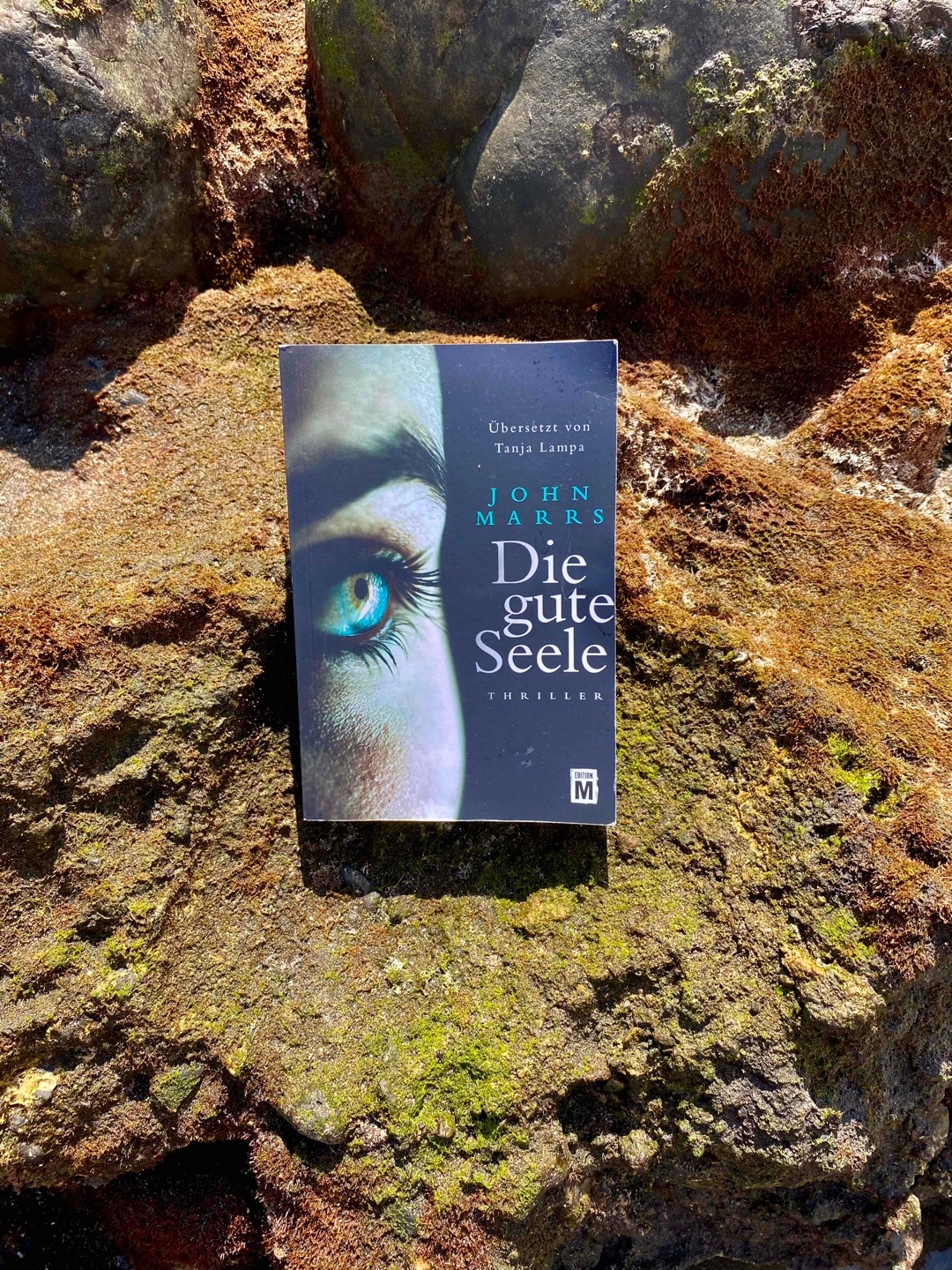Ein richtiges Highlight!
