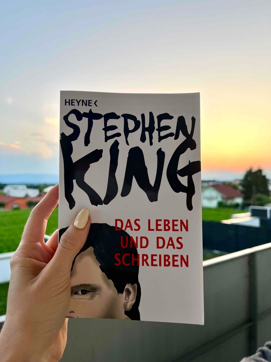 » Worum geht's hier eigentlich, Stevie? « ✍🏻📖
