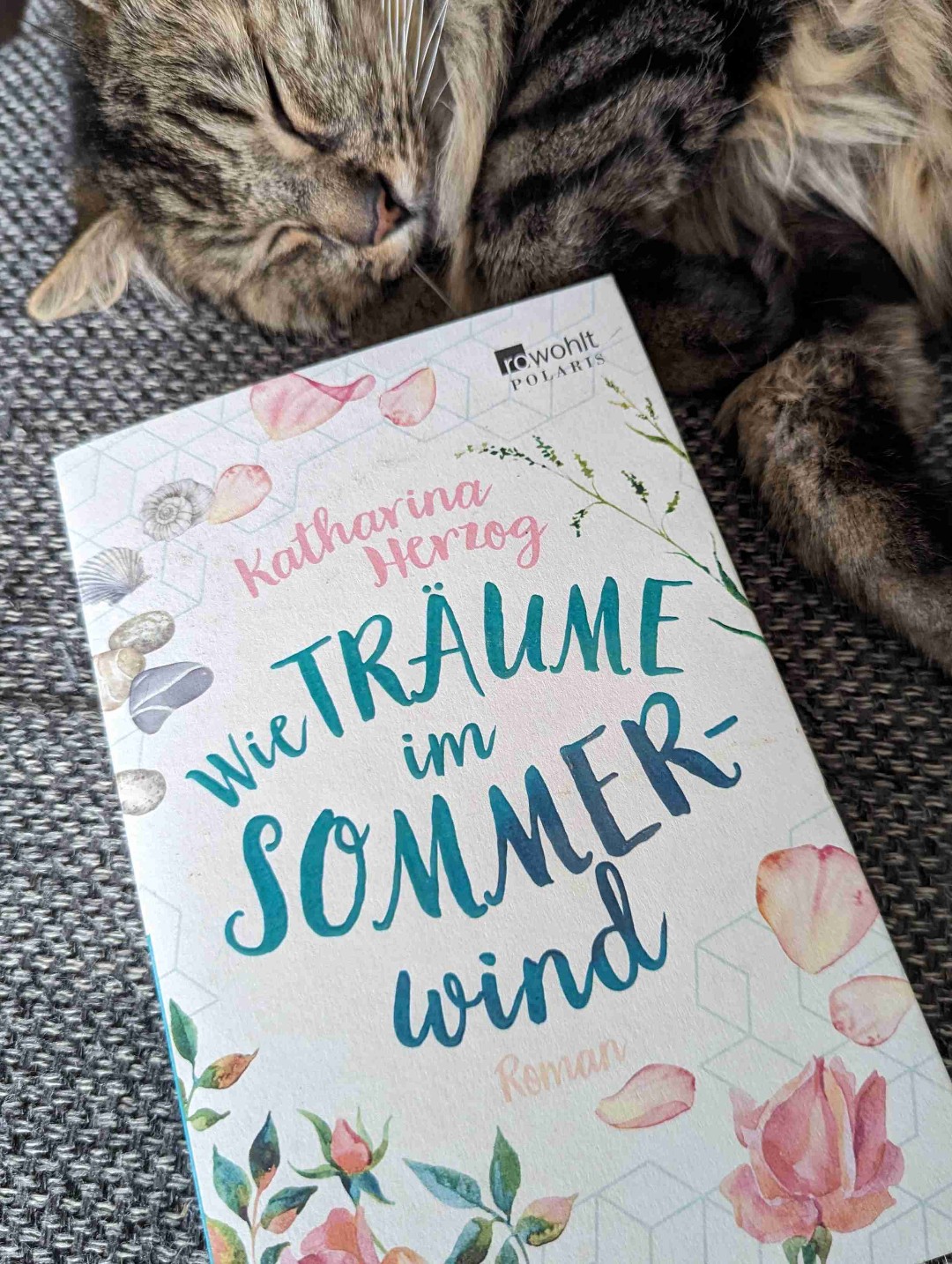Und wieder einmal konnte Katharina Herzog mich begeistern. Ich war sofort mitten in der Story und fühlte mich den Protagonisten nah.
Ein wunderbarer vielseitiger Sommerroman.