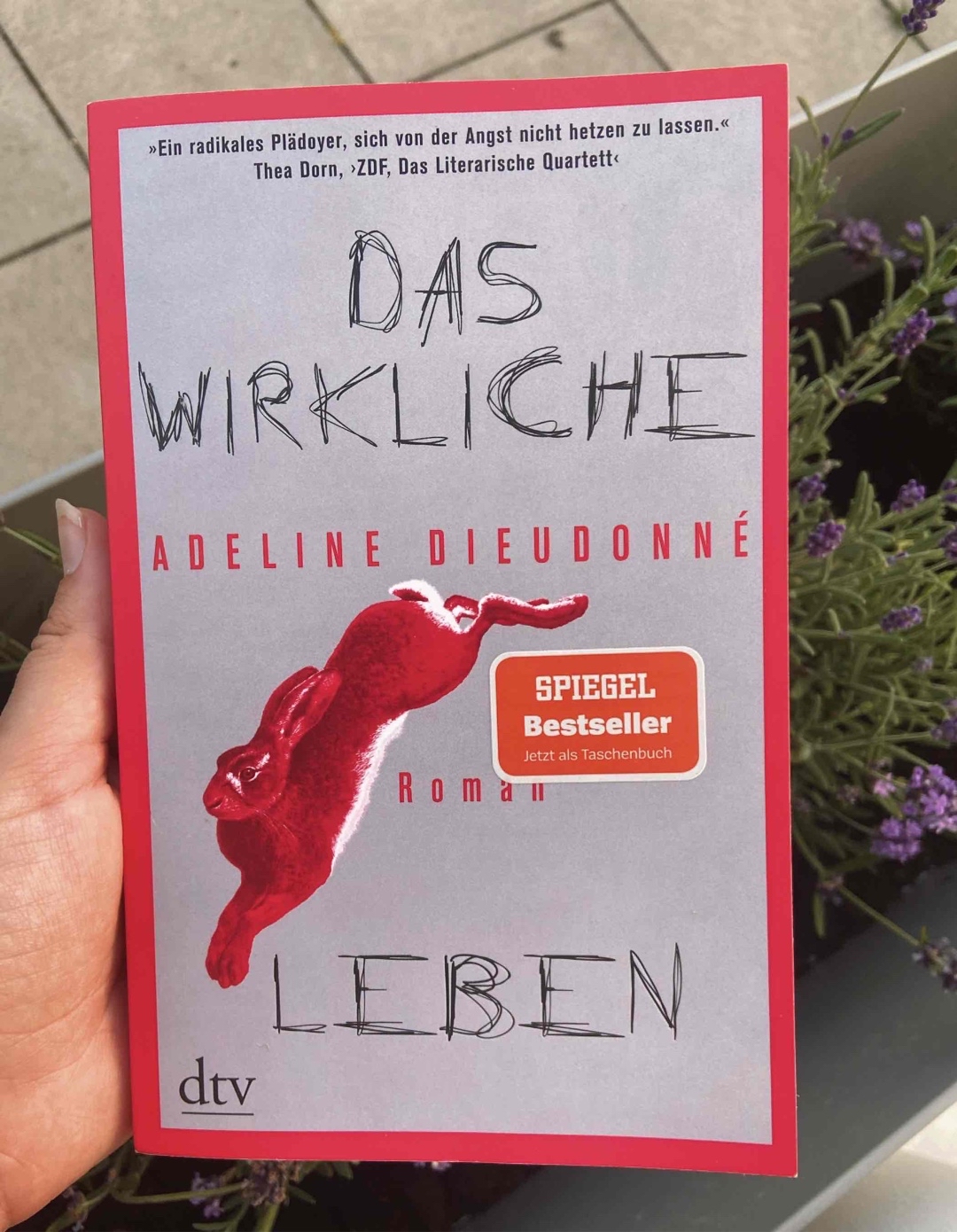 Musste das Buch zwischendurch weglegen