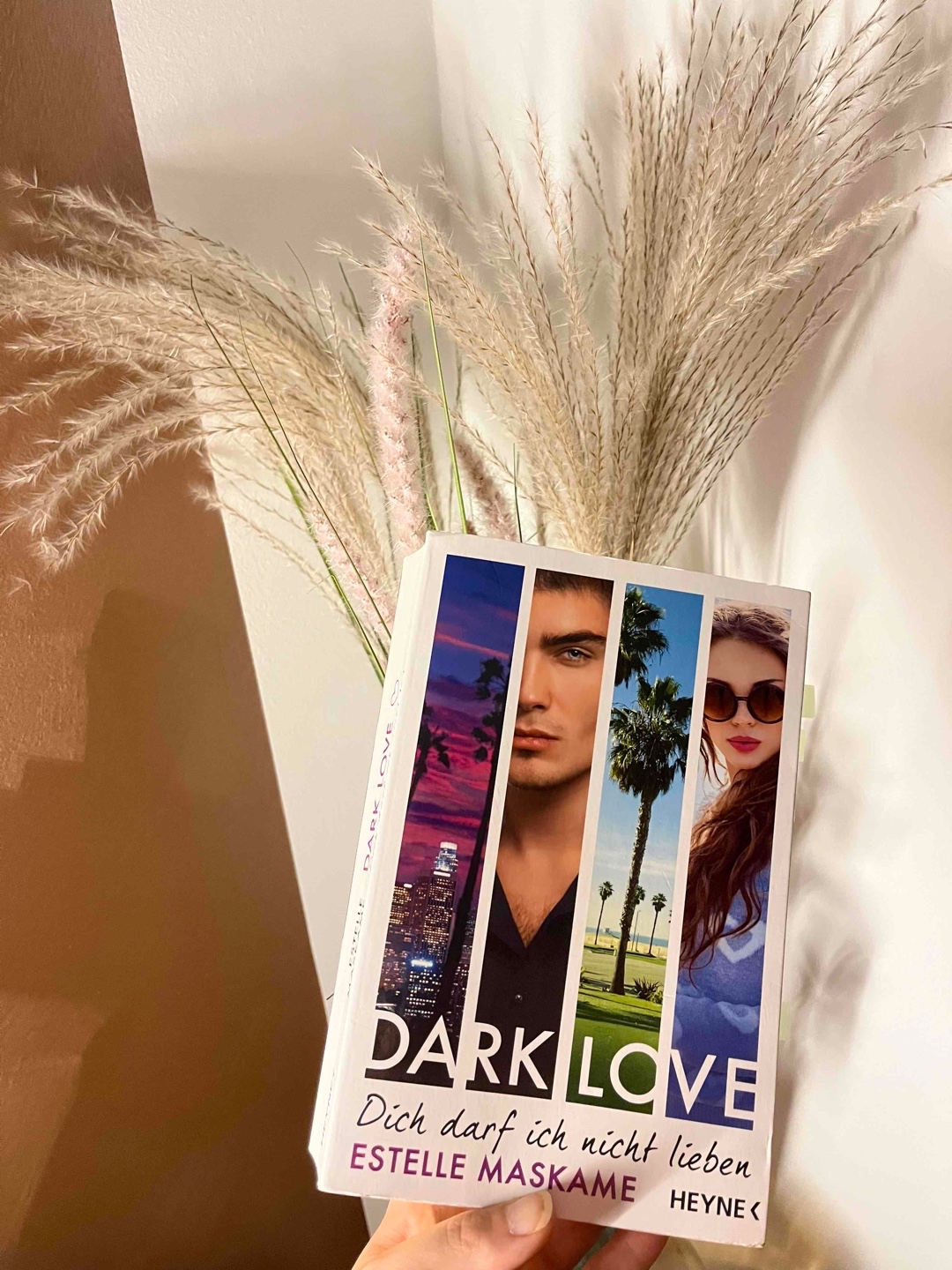 Toller Auftakt der Dark Love Reihe, liest sich total flüssig und guter Schreibstil👍🏼