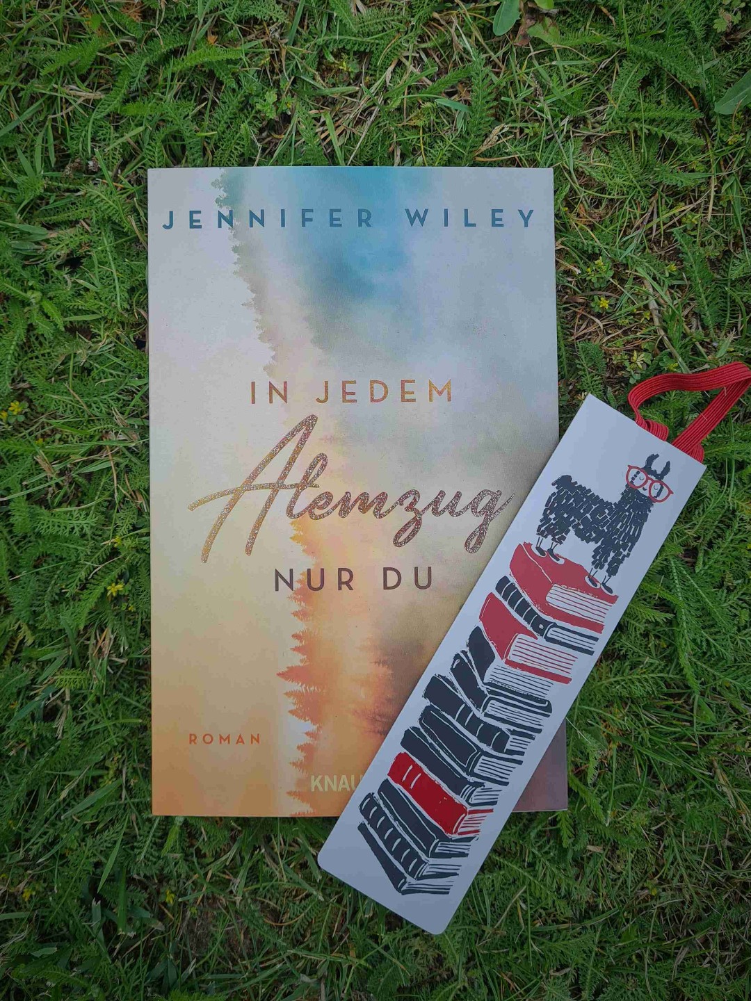 Ist ein sehr schönes Buch. Hatt mir sehr gefallen. Die Charaktere sind toll und die Geschichte erst recht. Das Ende ist auch gut, ich liebe es.