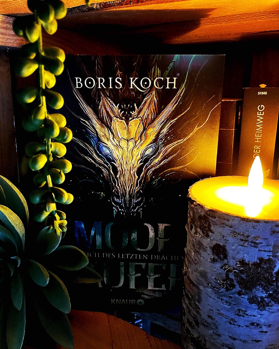 Ruhige, atmosphärische Fantasy im Reich des letzten Drachen. 🐉🧙‍♂️