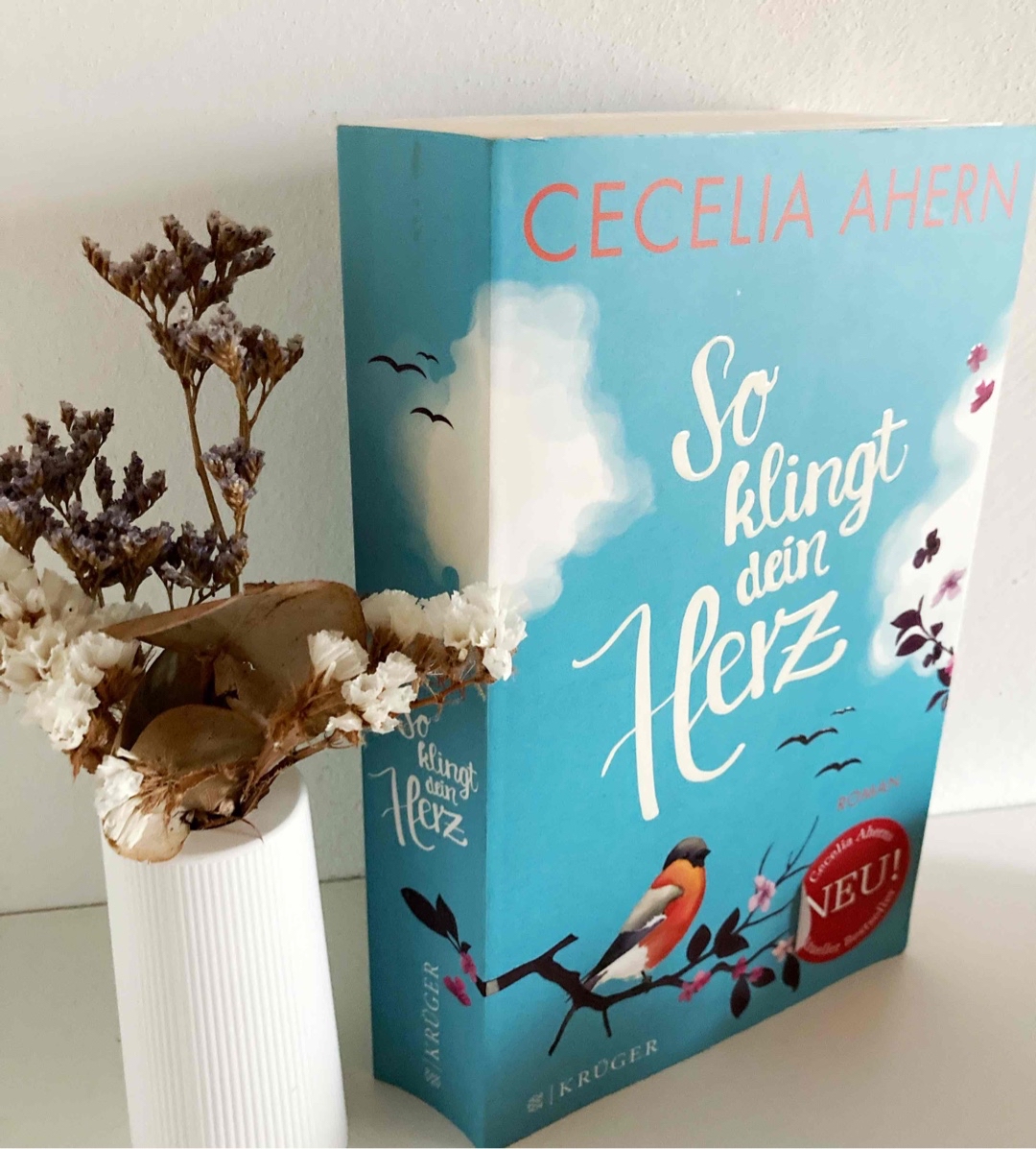 Für mich mit der beste Roman von Cecilia Ahern!