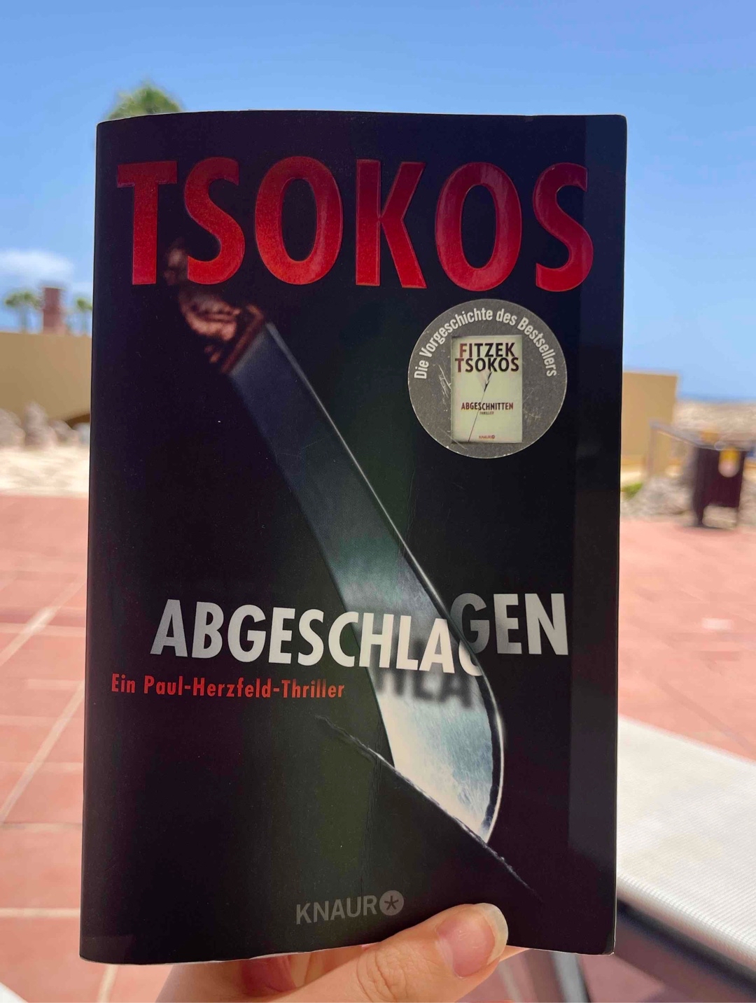 Spannende Verfolgungsjagd nach dem Täter!
Man wusste zwar von Anfang an wer der Täter ist, jedoch sind so viele Ereignisse aufgetreten, die der ganze Verfolgung durchgehend Nervenkitzeln bot.