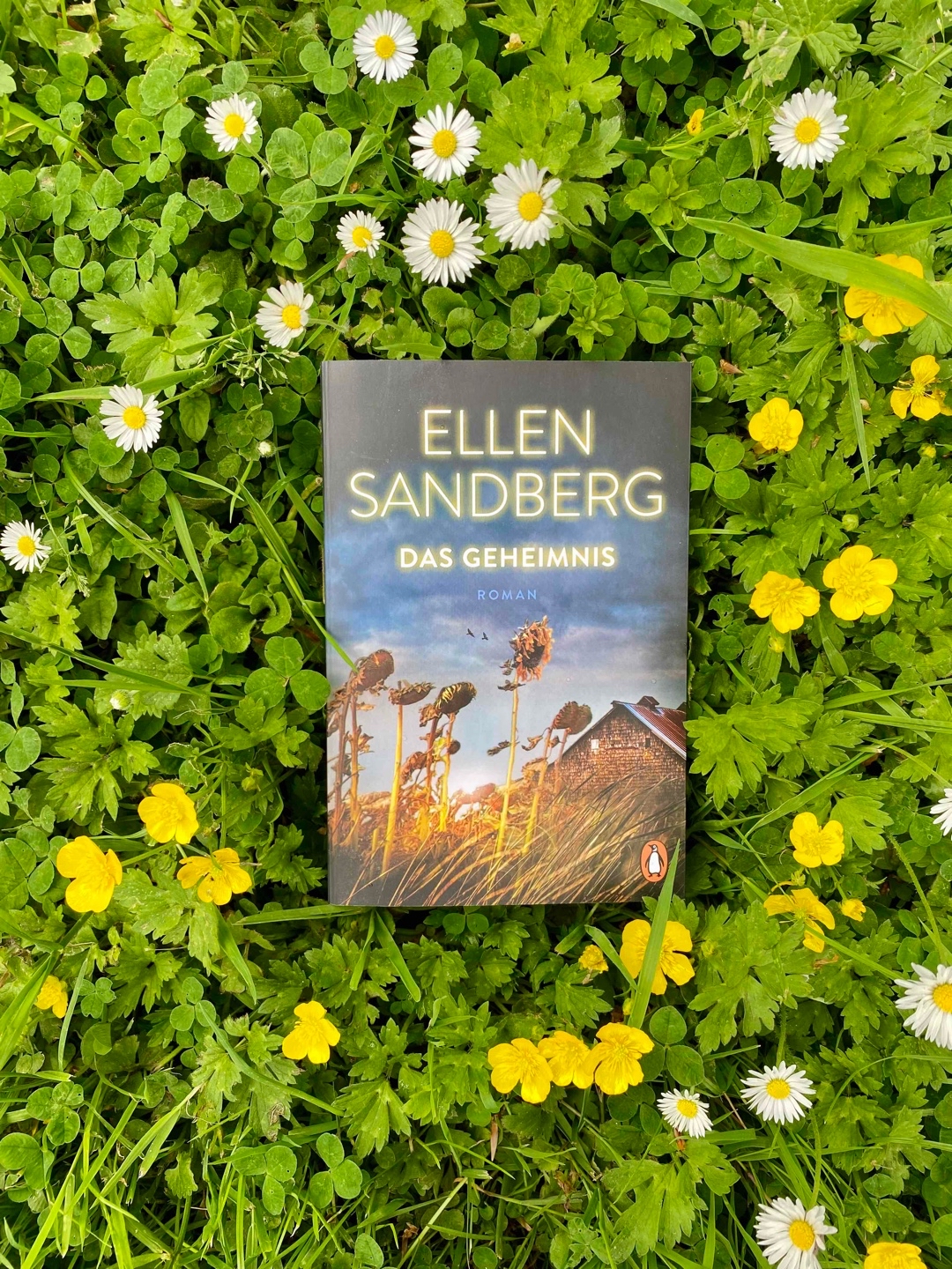 Das bisher schwächste Buch von Ellen Sandberg