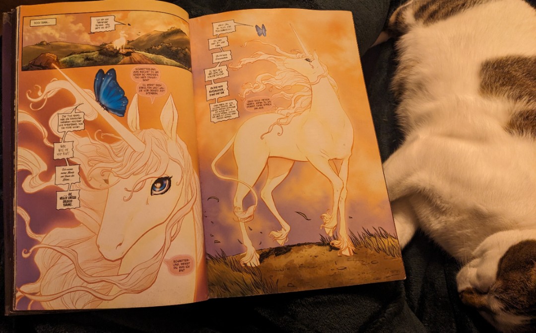 ein Klassiker als Graphic Novel