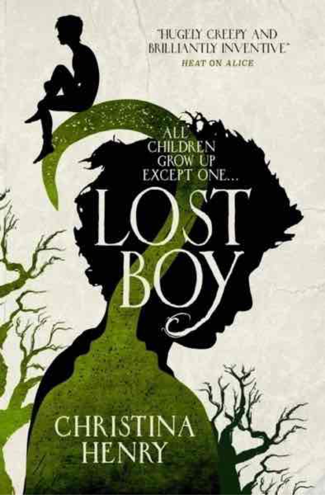 Peter Pan is a liar. This is the truth. This book tells the Story of the Lost Boys in the POV of Jamie (aka Captain Hook) and tells about the cruel truth about Peter and his evildoings.