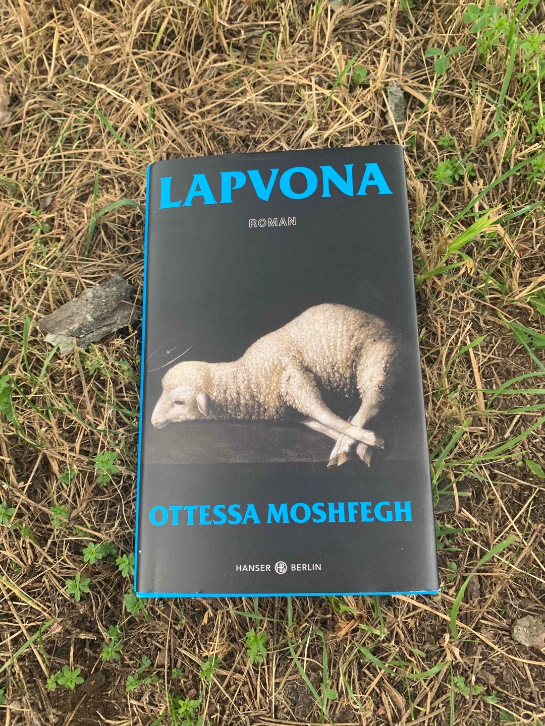 Es riecht nach Kot und Verwesung, nach Blut, Vieh und Schlamm - das ist Lapvona, der gottverlassenste Ort der Romanwelt. Hier ist niemand vom Glück begünstigt, am wenigsten Marek, der missgestaltete Sohn des Schafhirten. Doch sein Elend birgt auch eine große Kraft: baldige Nähe zu Gott durch Entsagung und Erniedrigung. Als er von Villiam, dem irren Landvogt, aufs Schloss berufen und als neuer Fürstensohn eingeführt wird, glaubt Marek sich zu Höherem erkoren.

Das  Buch hat krasse Szenen, aber ich konnte es nicht weglegen. Auch mag ich wie es Kritik an der Gesellschaft nimmt. 