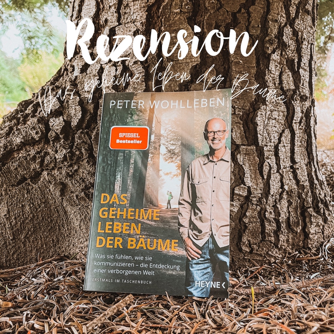 Der Wald hat unheimlich viel zu bieten.