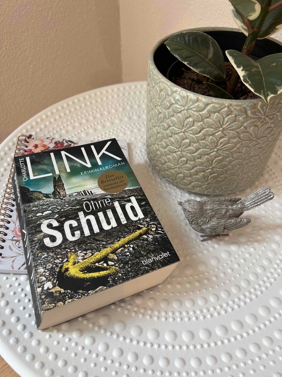 Ein spannender Kriminalroman von Charlotte Link. Das Ende hat sich für meinen Geschmack etwas sehr in die Länge gezogen. Trotzdem finde ich das Buch lesenswert.