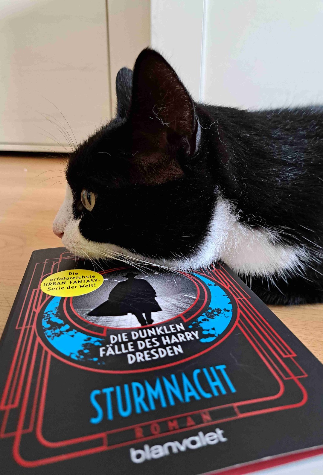 Super Auftakt! Hat Potenzial eine meiner Lieblingsreihen zu werden!