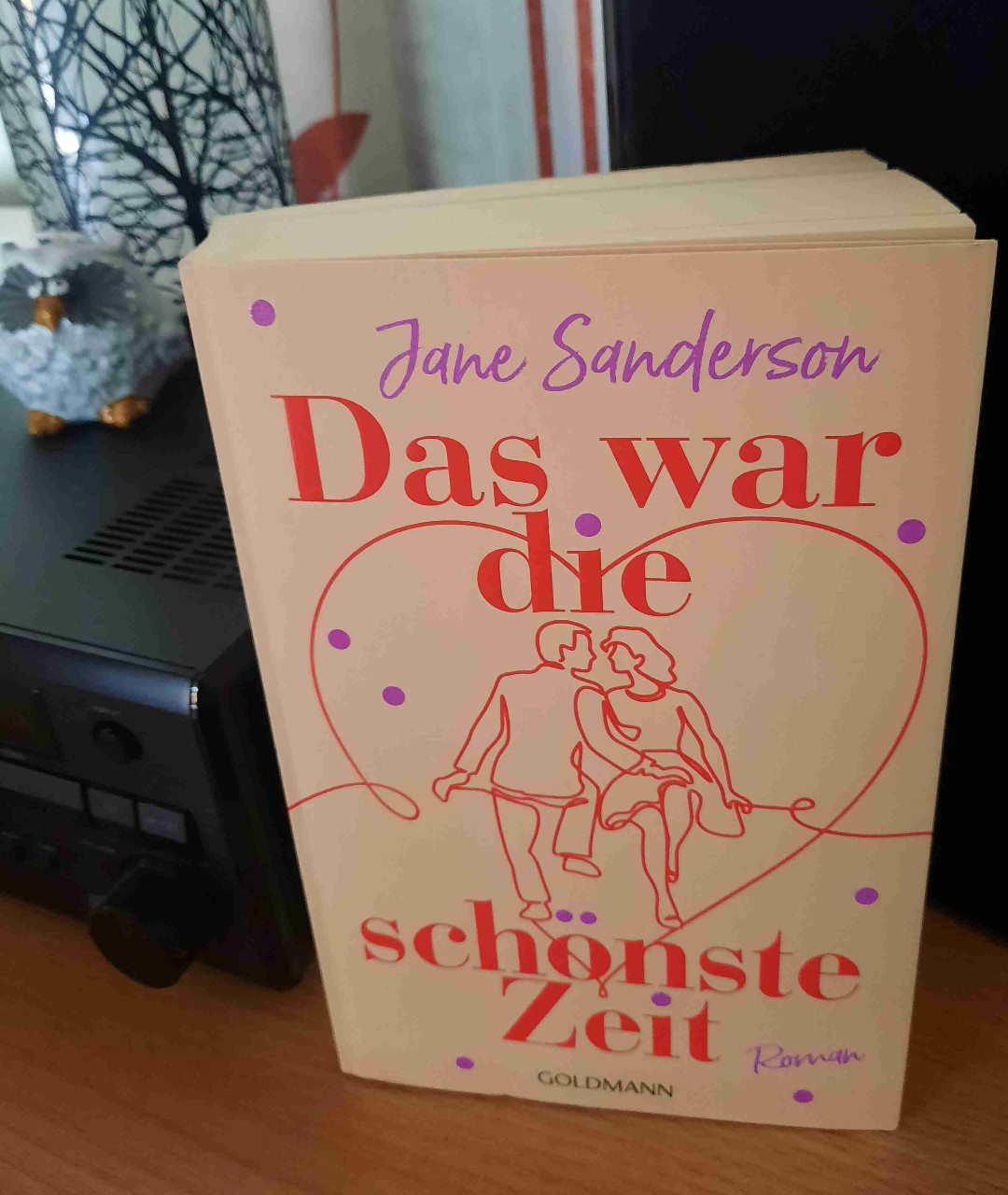 Ein Roman über die erste Liebe und guter Musik aus dem Jahr 1979, die sich doch dann in der Gegenwart wiederspiegelt und Erinnerungen weckt.