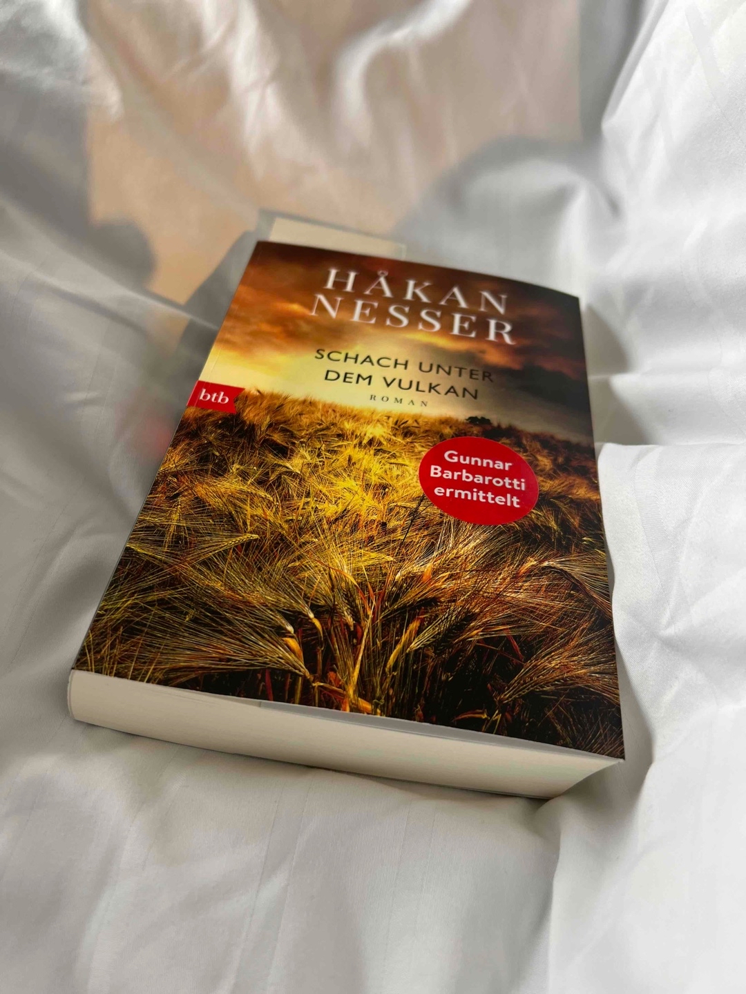 Wie gewohnt genial geschrieben, genial ermittelt und rätselhaft bis zum Schluss. Kommissar Barbarotti wie man ihn kennt und liebt. Wie alle Bücher aus dieser Reihe, kann ich auch für dieses Werk meine Leseempfehlung abgeben.