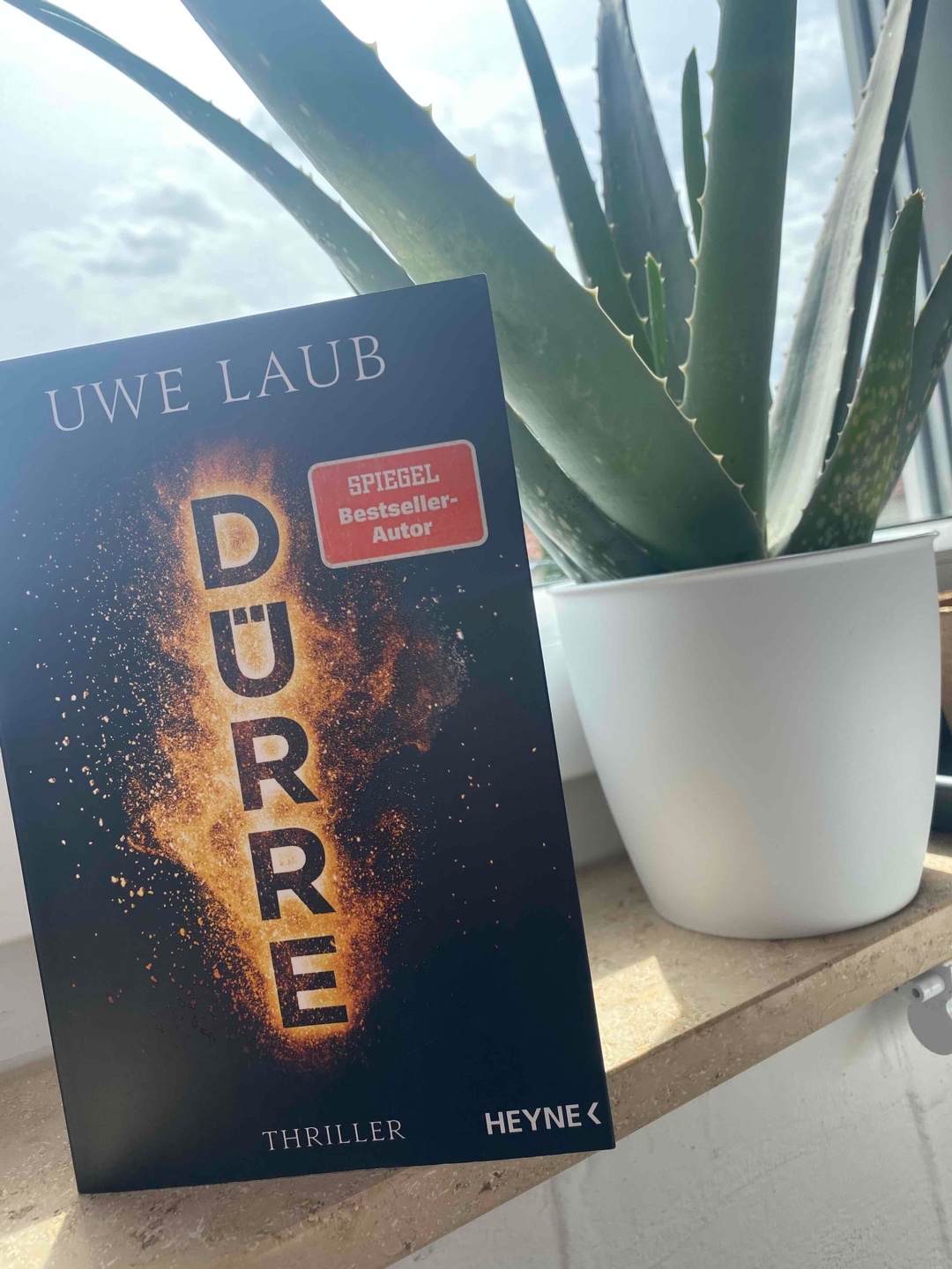 "Dürre" von Uwe Laub: Überleben im Klimakollaps - Ein packender Wissenschaftsthriller! 🌍🔍