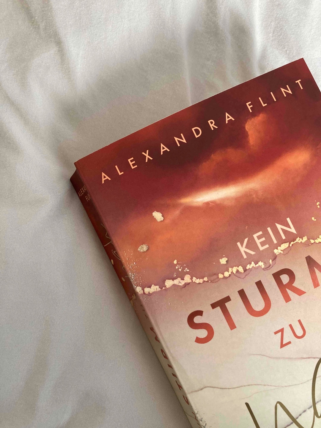 Ich finde das Buch sehr emotional perfekt geschrieben, es werden Themen angesprochen die nicht für jeden eindeutige aber trotzdem da sind. Die Gefühle wurden genau und schön beschrieben, wodurch man gut mitfühlen und sich auf das weiterlesen gefreut hat... 🤍🌊