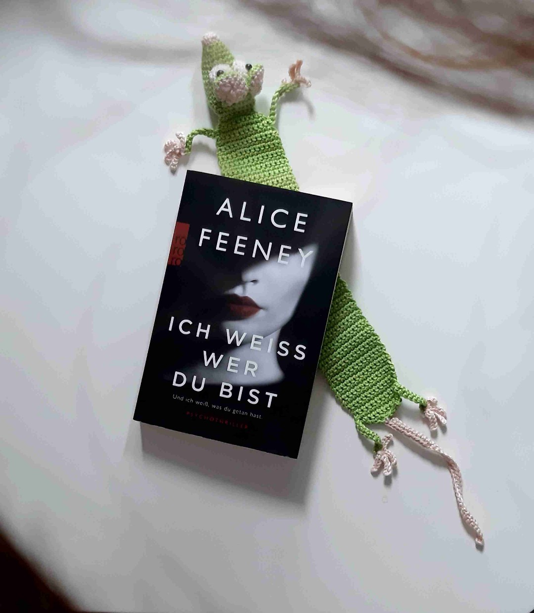 Ein absolutes Wow-Buch, habe mich lange nicht mehr so gefühlt beim Lesen. Nur der Schluss war etwas durchgehetzt.