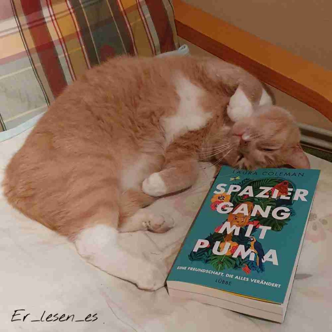 ⭐️⭐️⭐️
Es war einfach nicht so ganz mein Buch, auch wenn ich seine Botschaft für wichtig halte.
