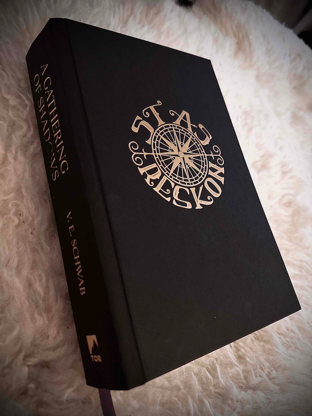 Wow. Buch zwei ist nahtlos genauso perfekt wke Buch eins. Die Reihe erarbeitet sich gerade einen Platz in meinem Herzen. Ich kann es kaum erwarten, wie Band 3 wird.