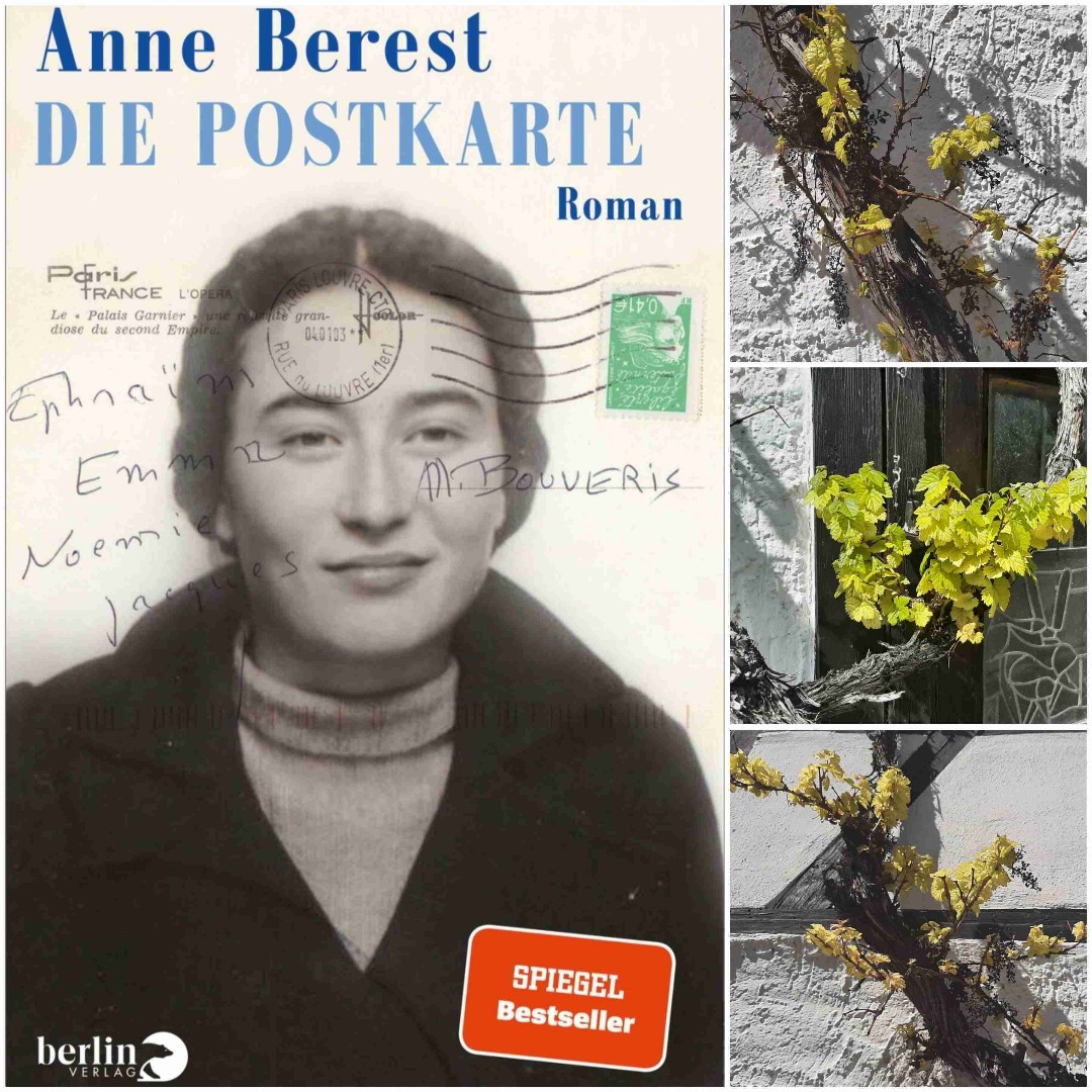 Eine besondere Postkarte bringt Anne Berest dazu sich mit ihrer Familiengeschichte auseinanderzusetzen. Es ist eine seltsame Postkarte, auf der in offensichtlich verstellter Schrift vier Vornamen stehen: Ephraim, Emma, Noemi und Jacques. Das sind die Namen ihrer Urgrosseltern und deren Kinder, die in den Vernichtungslagern des Nazi-Regimes umgekommen sind. Nur ihre Tochter Mirjam hat überlebt.
