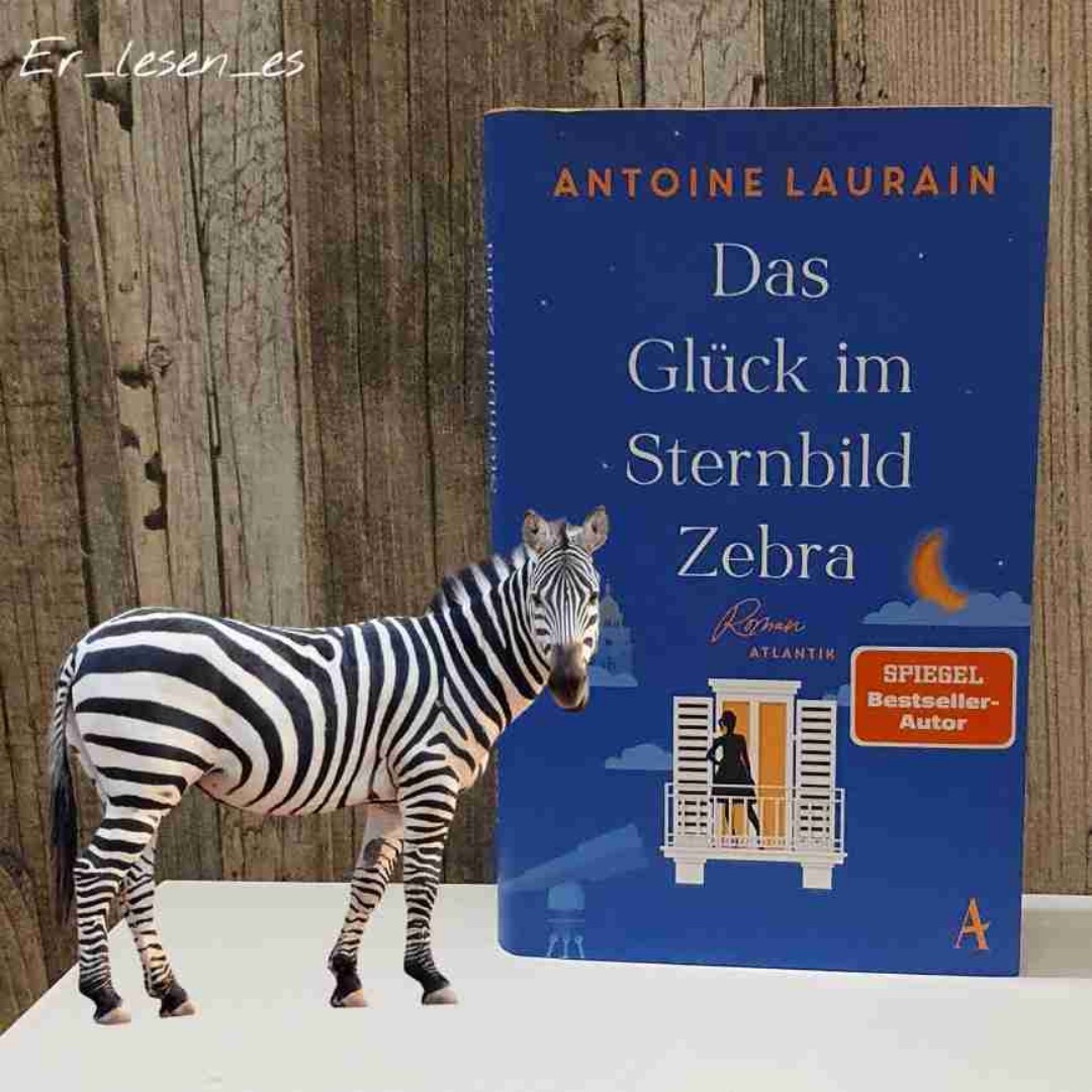 ⭐️⭐️⭐️⭐️
In der Gegenwart bringt der Fund eines alten Teleskops für Xavier eine Liebesgeschichte ins Rollen. Im historischen Teil erfahren wir die Geschichte von Guillaume, dem das Teleskop einst gehörte. Die beiden Geschichten werden in kurzen Kapiteln abwechselnd erzählt und ergänzen sich sehr gut, so dass am Ende das Buch eine "Runde Sache" ist.