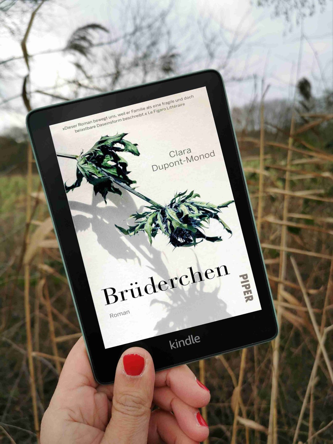 Eine traurigschöne Geschichte, wundervoll geschrieben