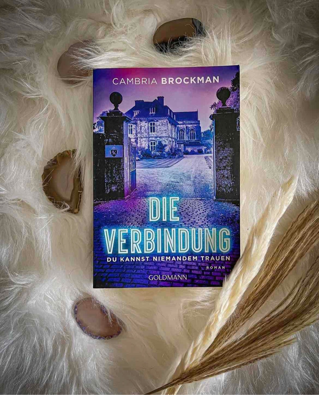Inhalt so packend wie das Cover