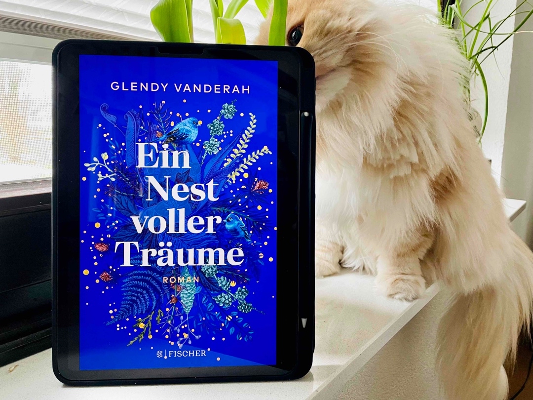 Solide Grundidee mit einigen Schwächen 
