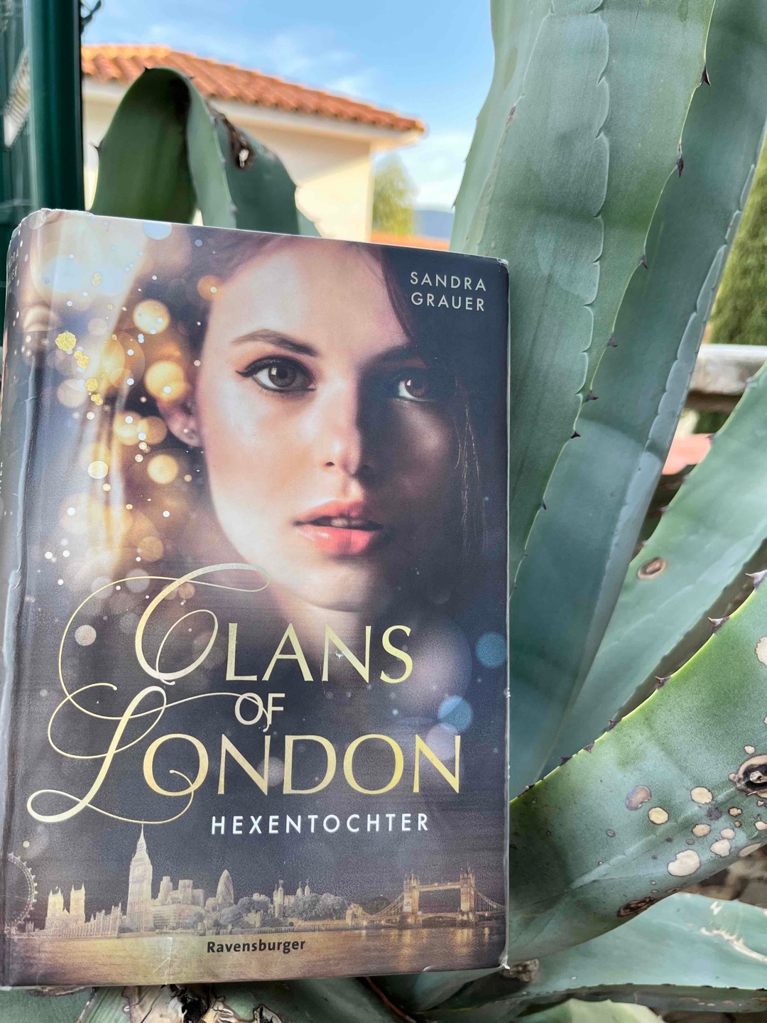 Ich fand das Buch sehr toll und möchte auf jeden Fall noch den 2. Band lesen!
Jedoch fand ich das mit Henri echt nervig, weil irgendwie hat mich Henri einfach genervt 🙄😅
Und der Cliffhanger am Ende hätte WIRKLICH nicht sein sollen, ich hab den zweiten Band nämlich den 2. Band gerade nicht zur Hand, grmph…