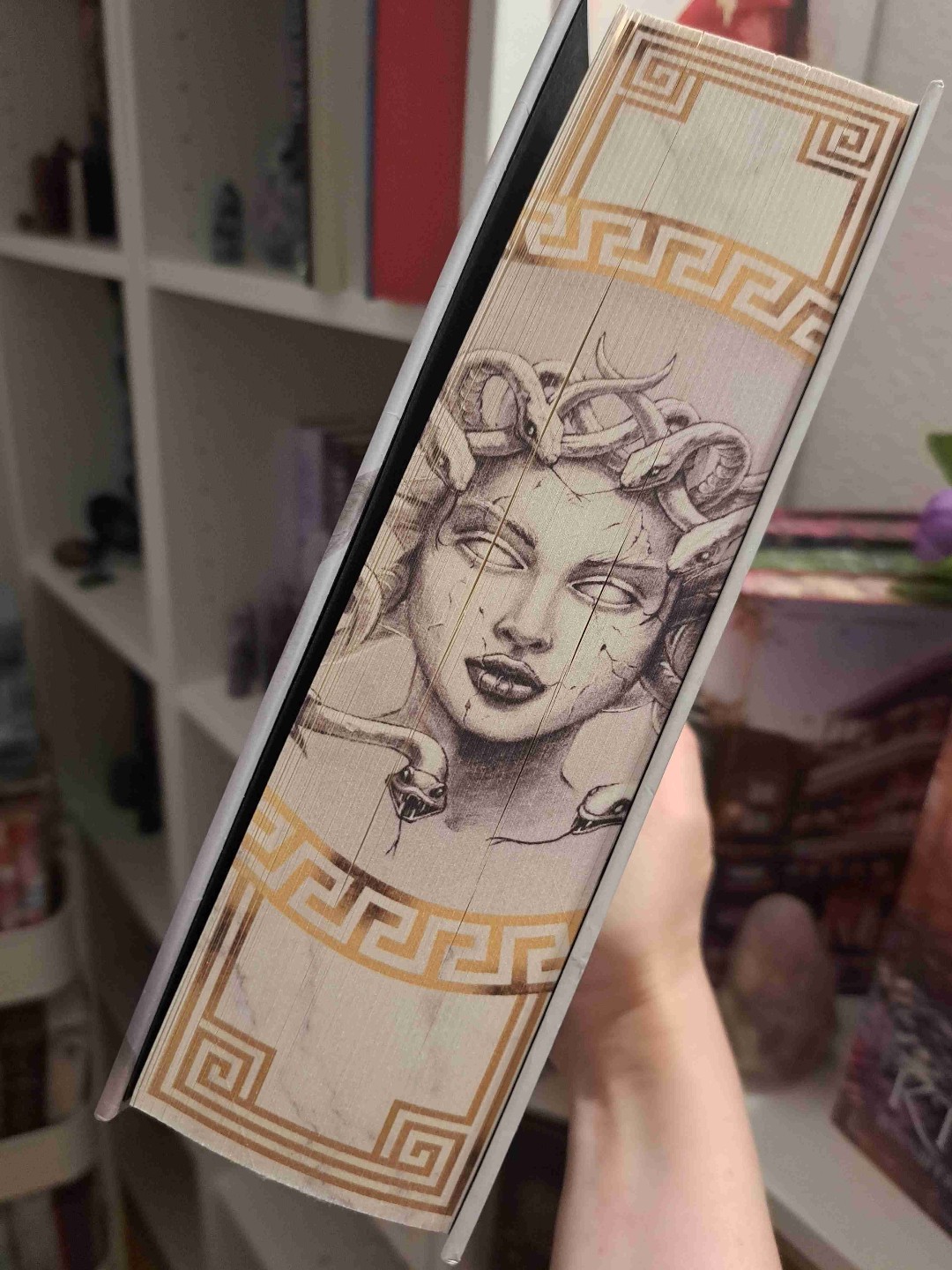 Als absoluter Medusa Fan war dieses Buch ein Muss für mich und es ist eins der besten, die ich bis jetzt gelesen habe
FarbschnittAusgabe der Chest of Fandoms