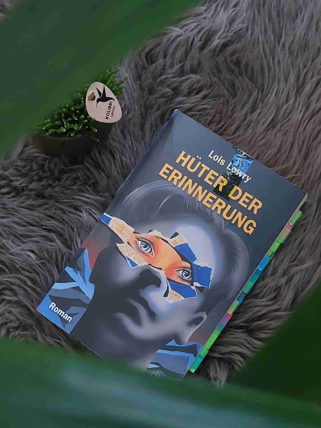 Hüter der Erinnerung - Ein Buch mit einer Message
