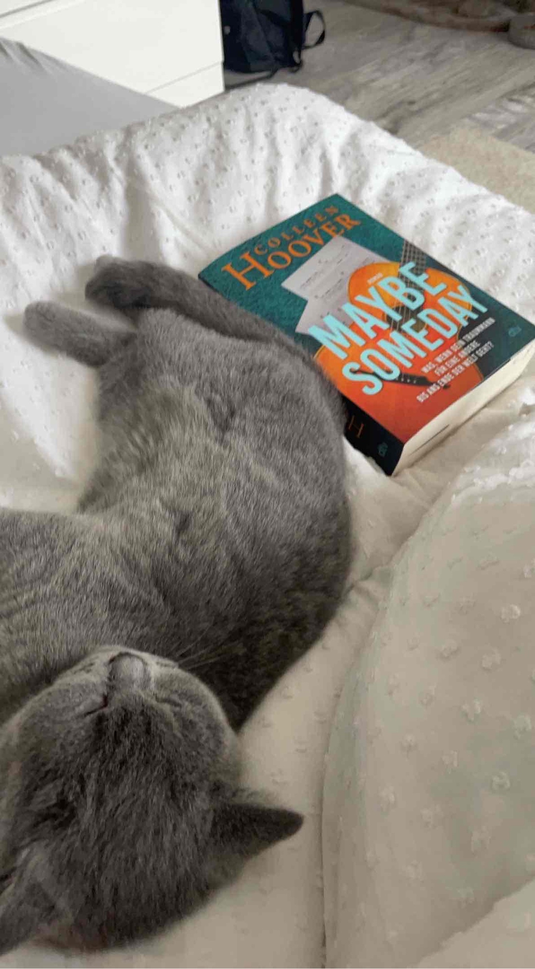 Ich habe es in 1 Tag fertig gelesen!