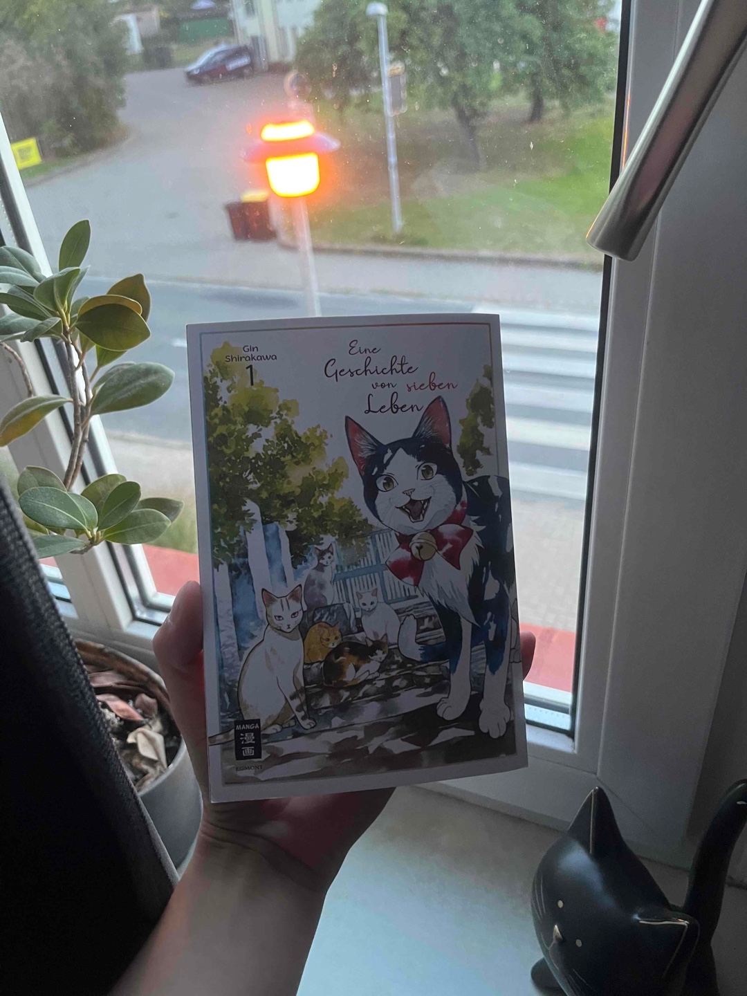 Für einen Nicht-Mangaleser trotzdem ein tolles Buch!