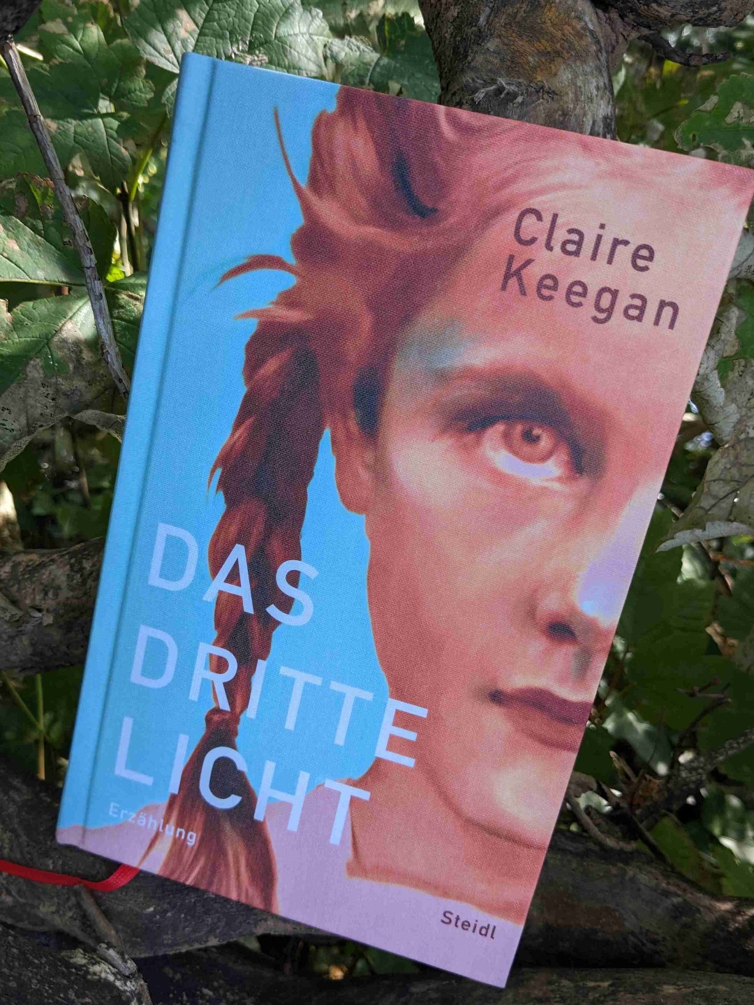 Kleine feine Erzählung, die zwischen den Zeilen so vieles transportiert, dass das kleine Büchlein einen großen Raum voll Gedanken und Interpretation füllt.
