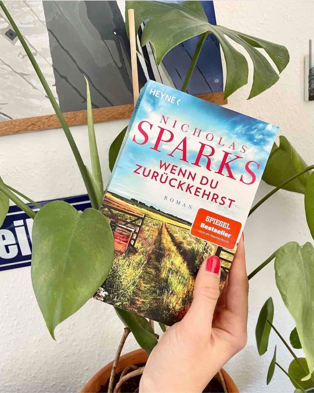 Ich werde nicht ganz warm mit Nicholas Sparks