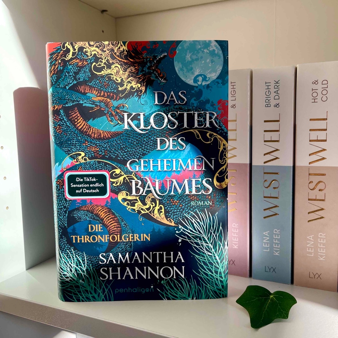 Mein erster High Fantasy Roman und gleich ein voller Erfolg!
