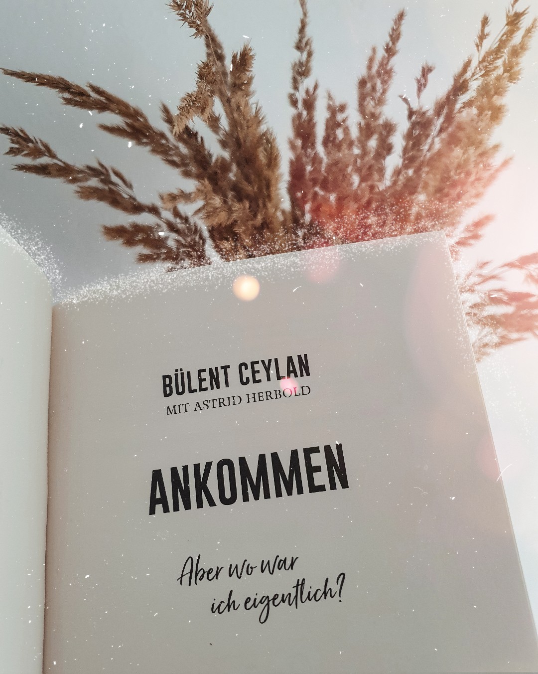 Bülent kann nicht nur lustig sondern auch sehr tiefgründig sein. Tolles Buch.