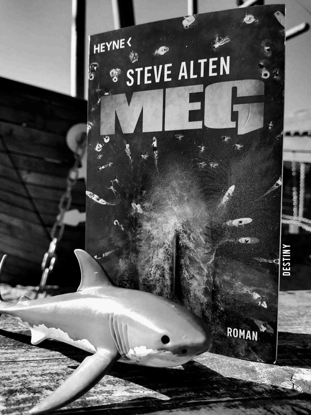 Mehr Zähne! Mehr Hunger! Mehr Action! Das ist Meg!
Auch wenn euch der Film nicht gefallen hat, solltet ihr auf jeden Fall der Buchversion eine Chance geben. RAWR!