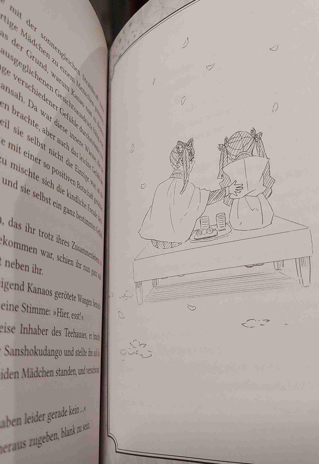 Schöne Light Novel 😍🥰