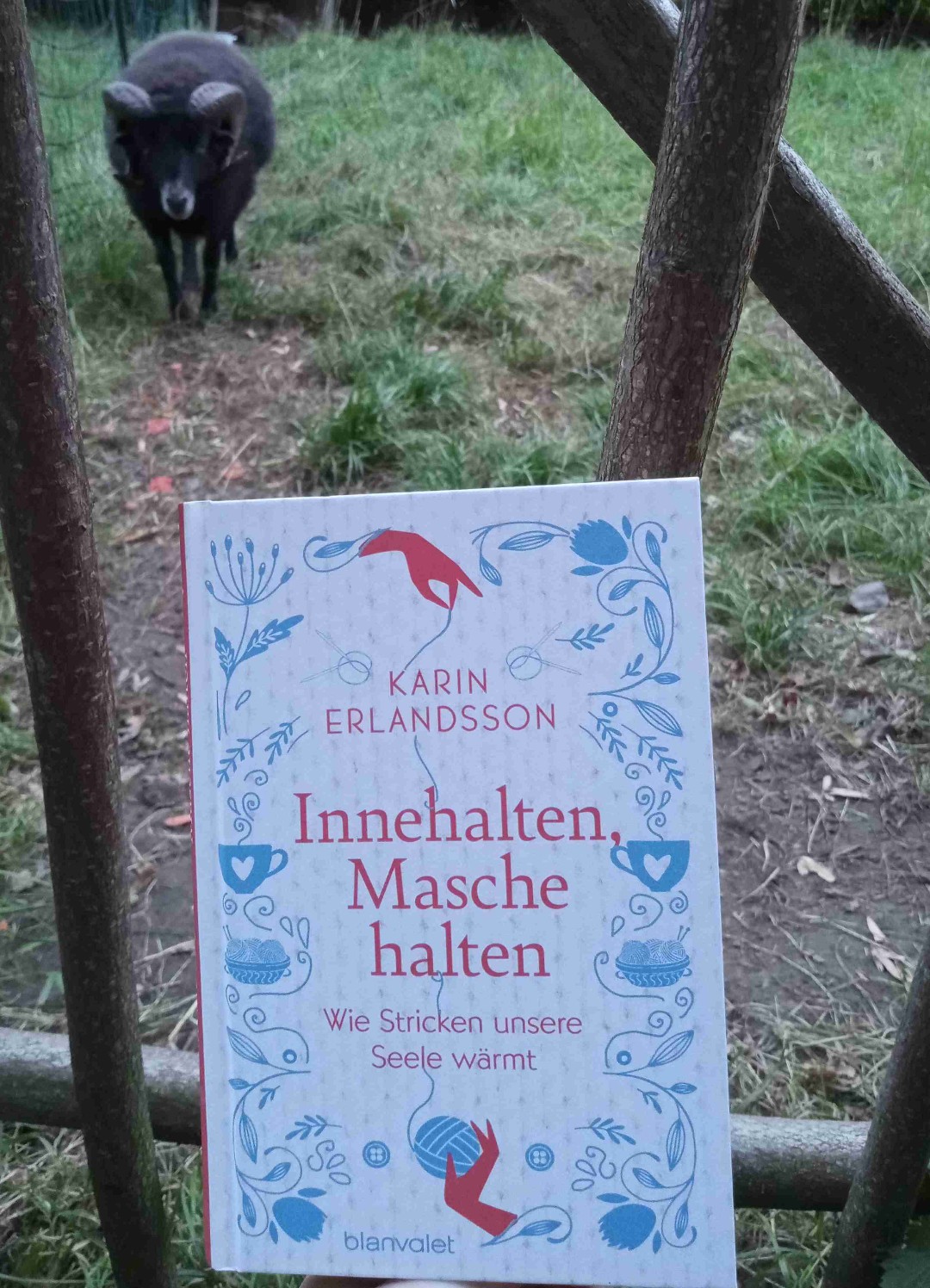 Ein wunderbares Buch.
Ich hätte aber sehr gerne ein paar Bilder darin gehabt.