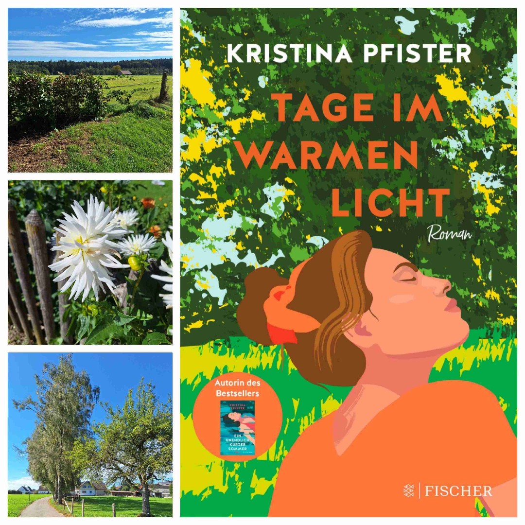 Kristina Pfisters Roman "Tage im warmen Licht" passt gut in diese Spätsommer- bzw. Frühherbsttage und fängt die Fülle dieser besonderen Jahreszeit mit Ereignissen und Bildern ein.