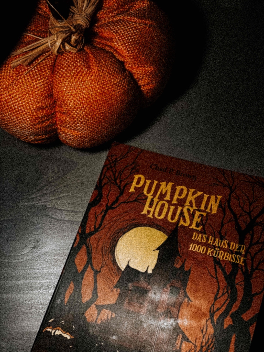 Man ahnt schnell auf was die Geschichte hinauslaufen wird, nichtsdestotrotz eine gute Story zur Halloweenzeit 🎃🖤